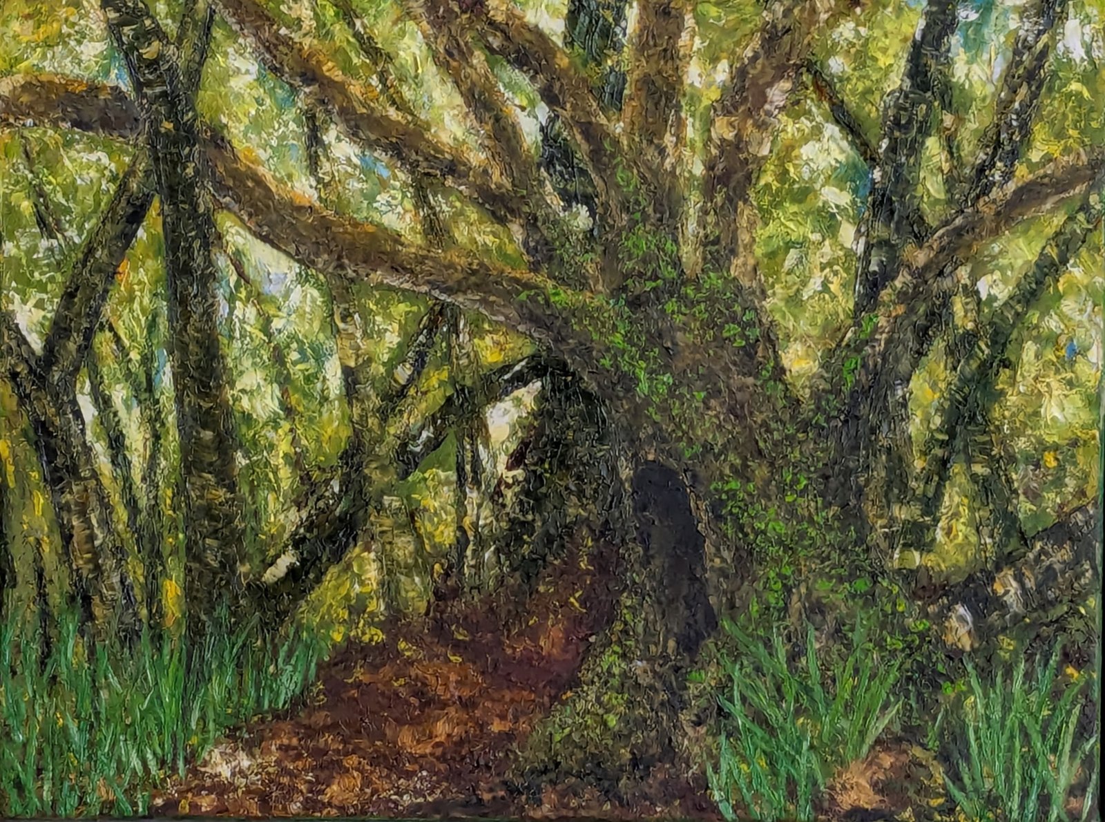 Old Tree Path — 2026