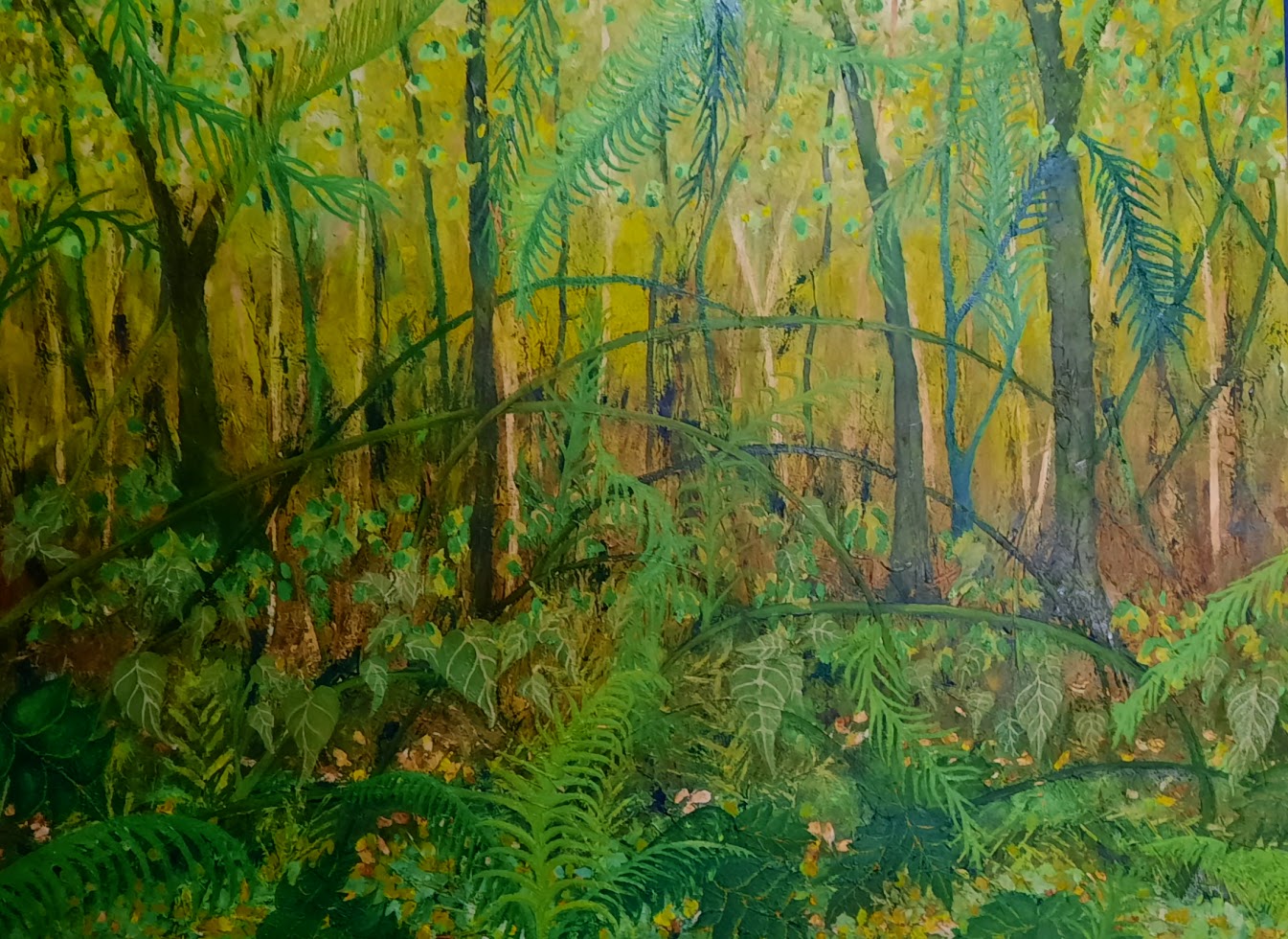 The Magnificent Daintree — 2023