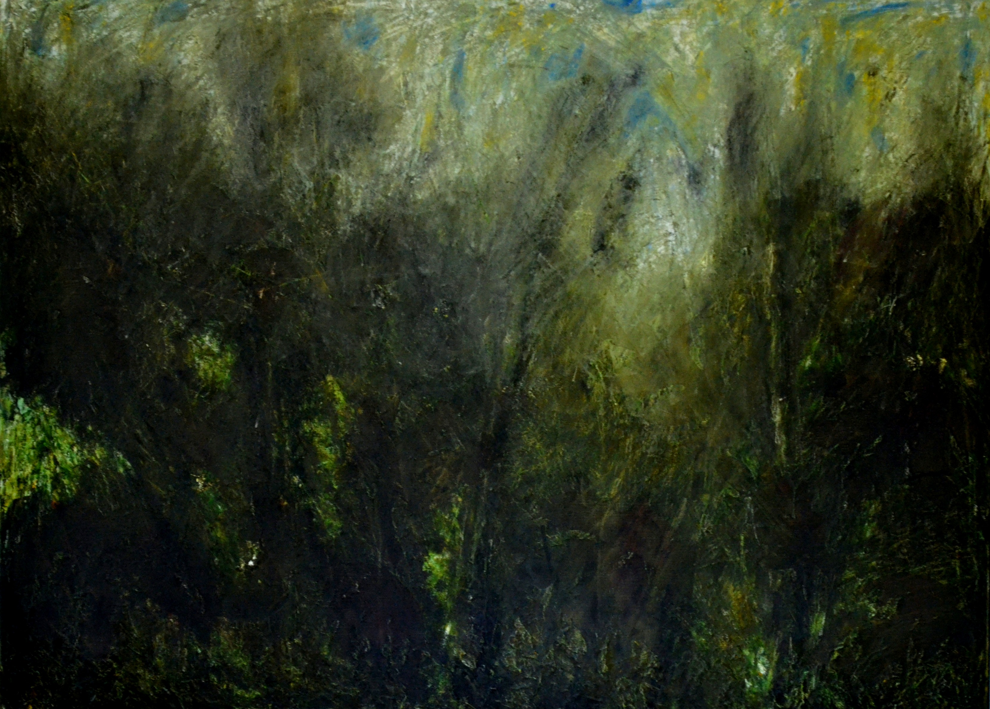 Flora & Fauna — 2015