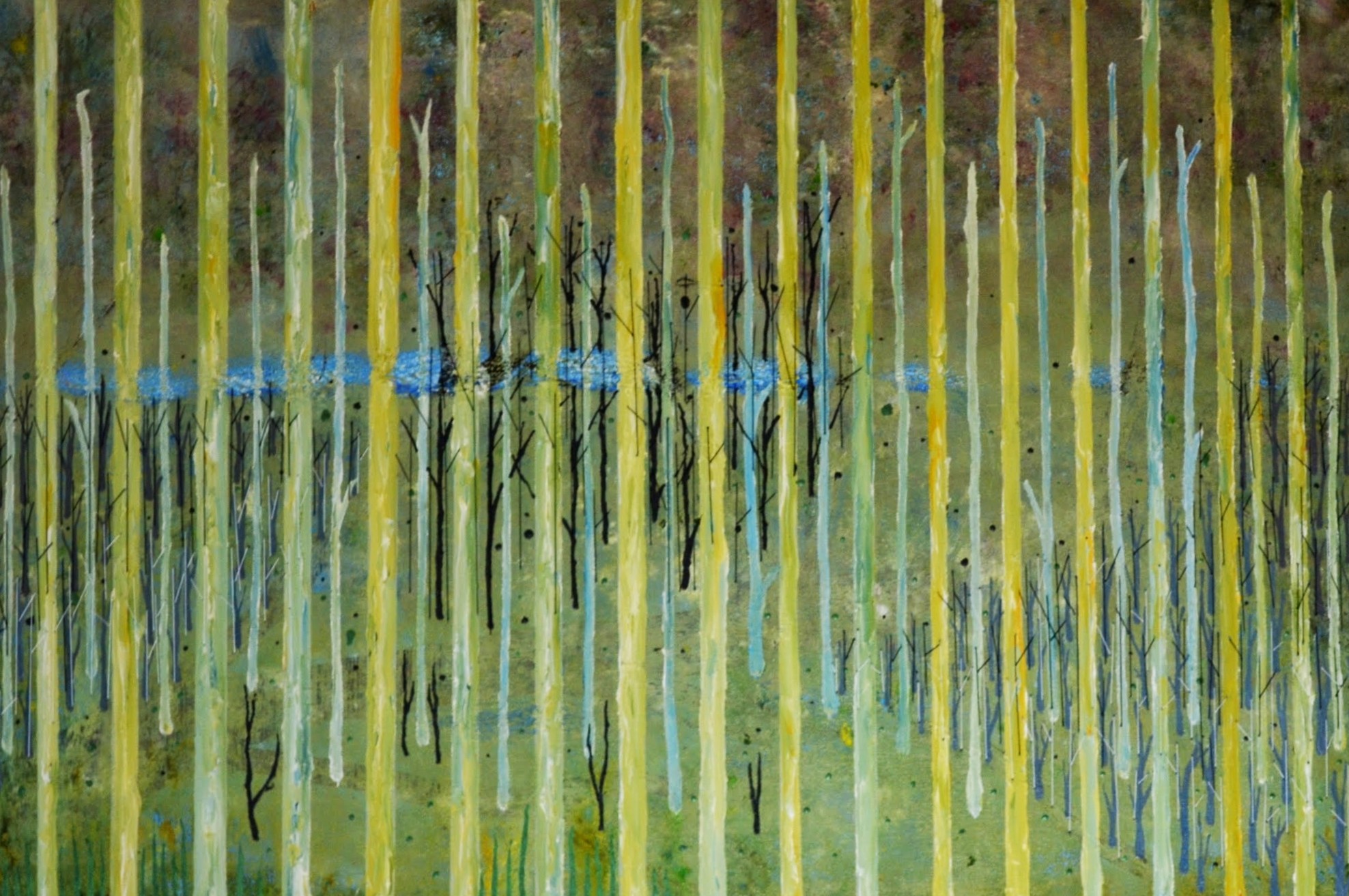 Salination — 2013
